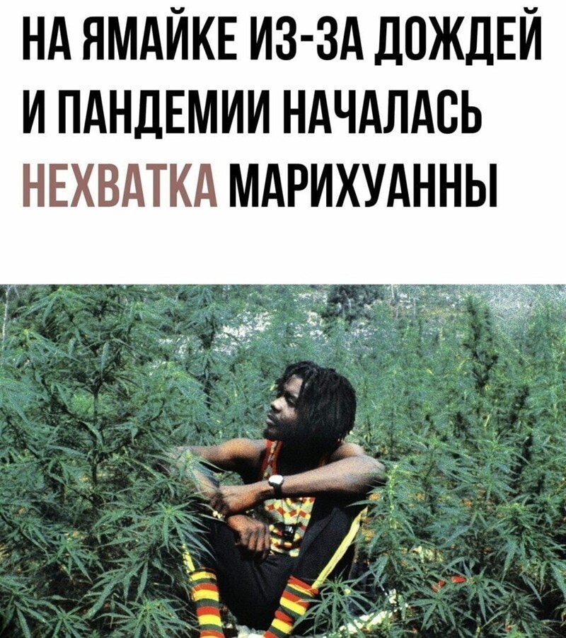 Бедная , бедная Ямайка .......