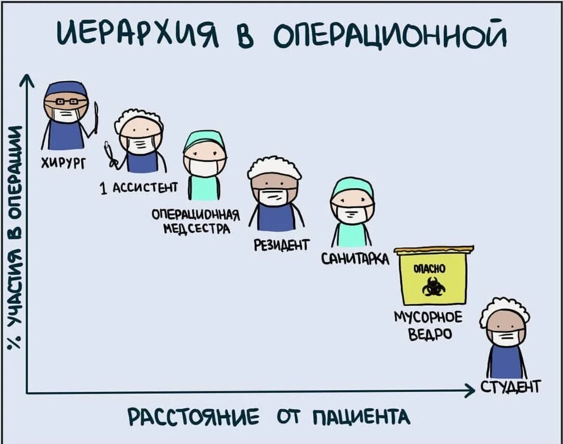 Можно ли после педиатрического факультета работать взрослым врачом в 2020 году