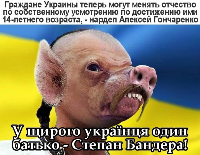 Политические комментарии и другой разный юмор с сарказмом и без