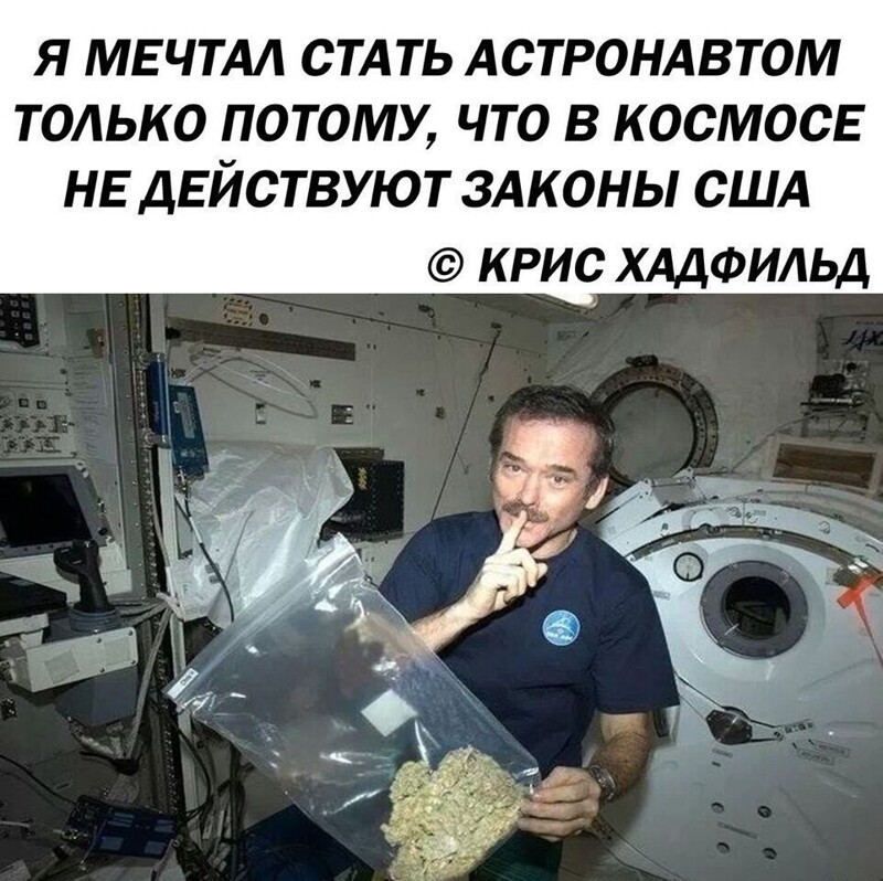 Веселые  картинки