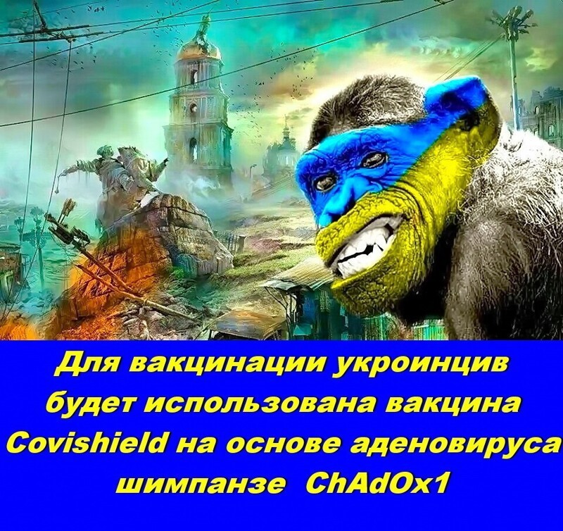 Они говорили, москали сделали скотовакцину и впаривают её свидомым людынам, да мы лучше бензином колоться будем...
