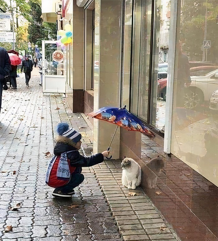 Ребенок учится доброте