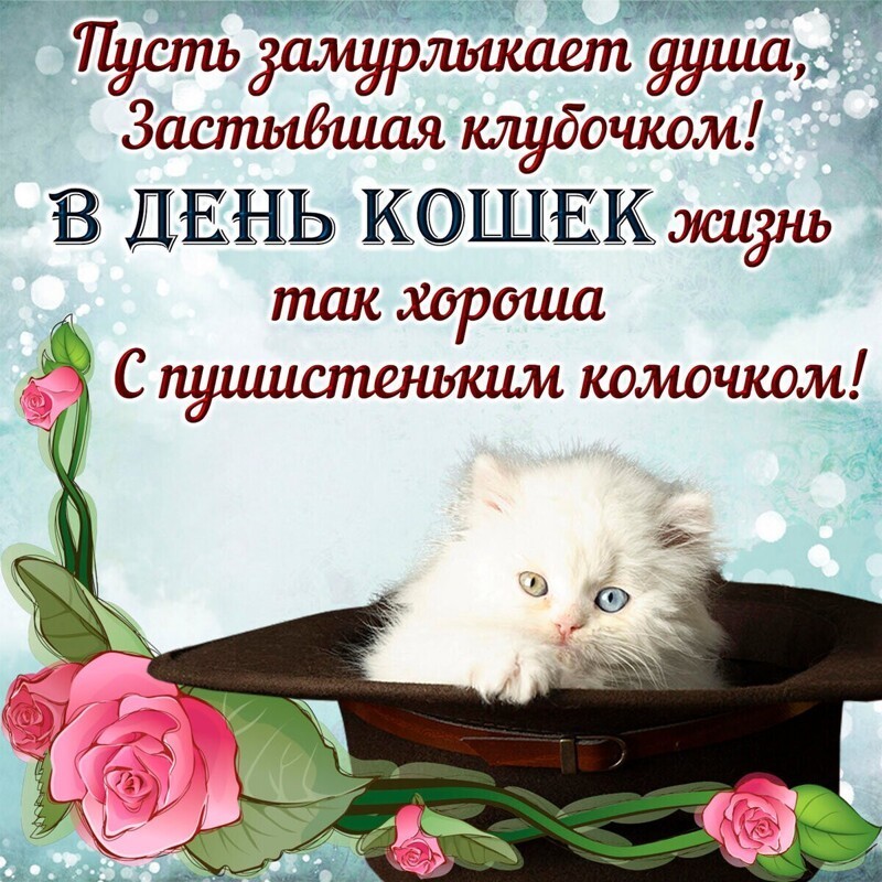 День кошек отмечают в России