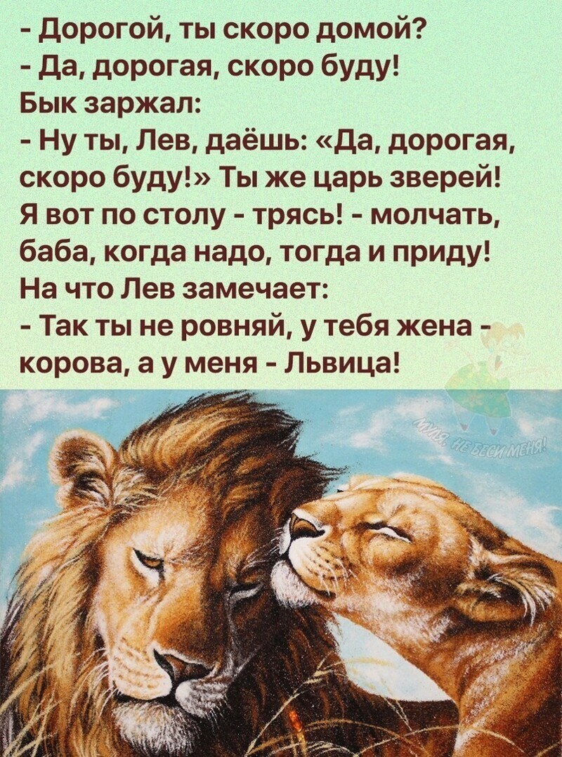 Я буду твоим зверем. У тебя жена корова а у меня львица. Лев и бык. Сидели рядом как то бык со львом. Стих про Льва и быка.