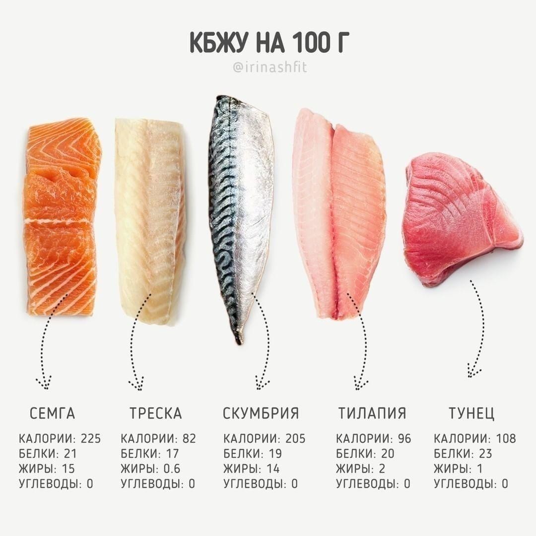 Скумбрия соленая калории. Рыба КБЖУ. Лосось рыба ккал. Красная рыба энергетическая ценность. Количество калорий в рыбе.
