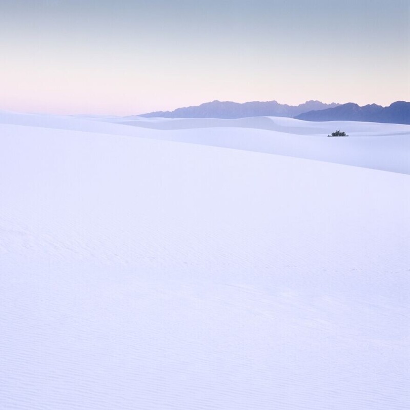 4. "Белые пески", Аарон Диксон (2 место / Аналоговая/пленочная фотография / Пейзаж)