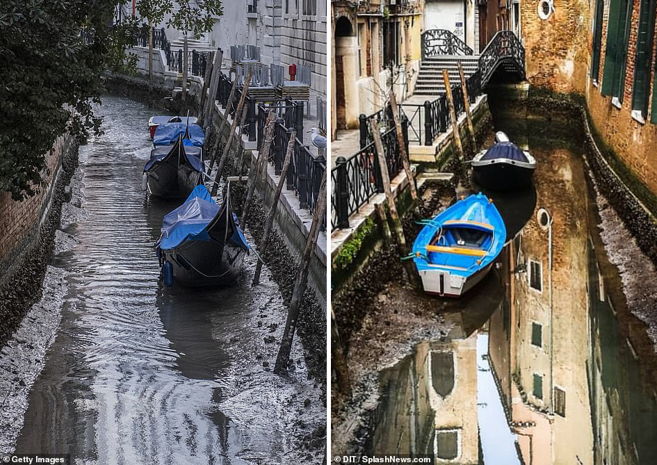 Знаменитые каналы Венеции пересохли из-за отливов
