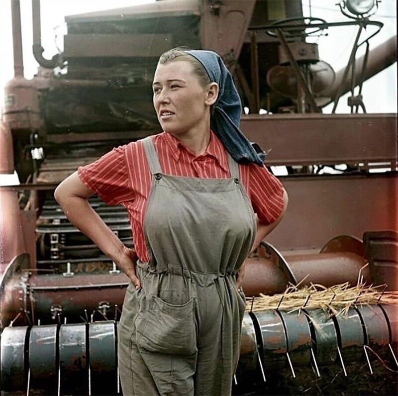 Комбайнер Георгиевской МТС Анна Александровна Шепилова, 1957 год