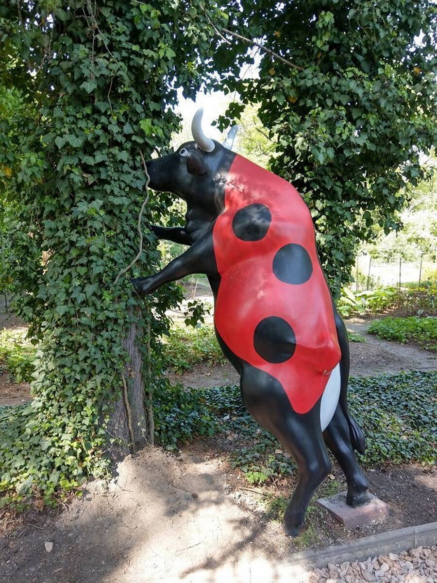 Всё вразнобой от АРОН за 03 марта 2021