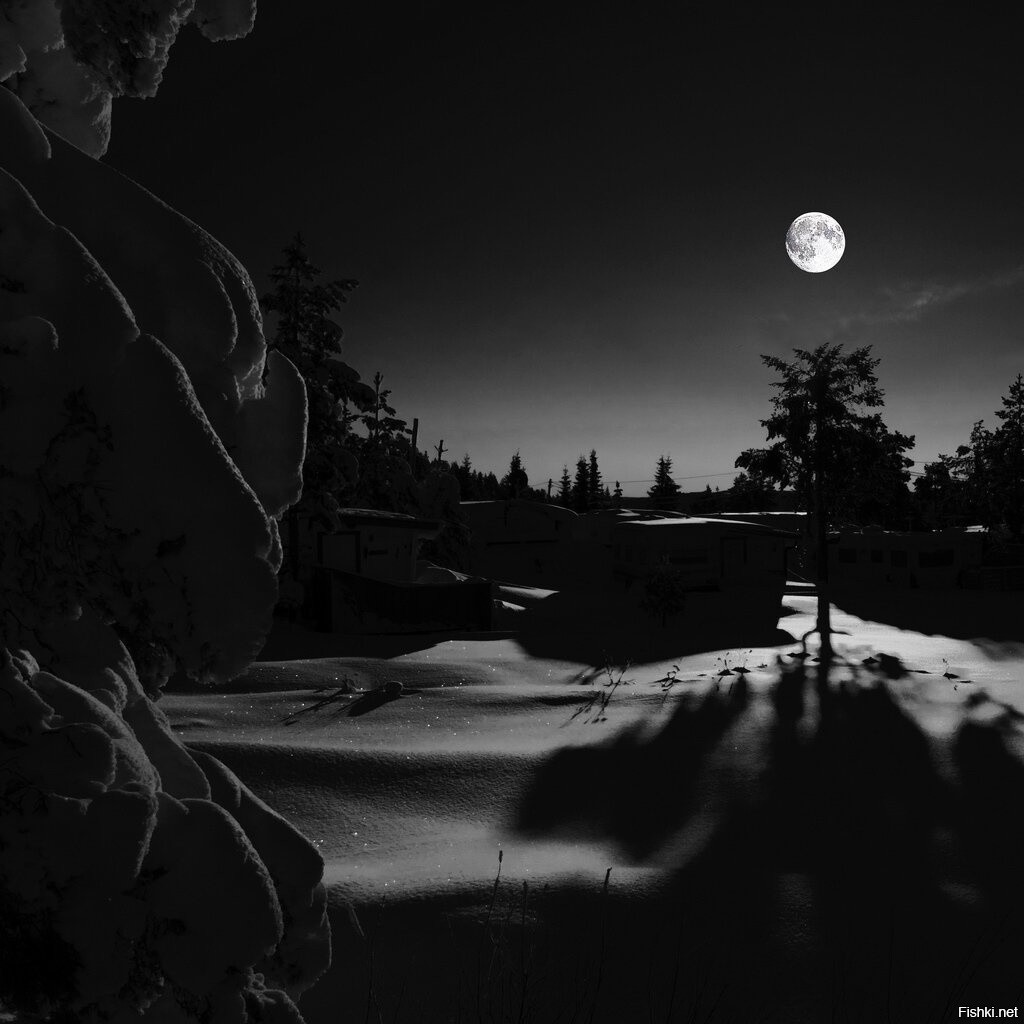 Черные ночи холодные ночи. Лунная ночь. Красивые ночные пейзажи. Ночной пейзаж с луной. Зимний ночной пейзаж.