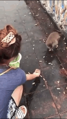 Гифки Гифки