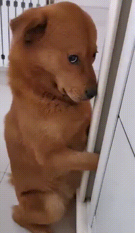 Гифки Гифки