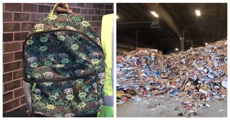 Чудо в рюкзаке: сотрудники мусороперерабатывающего завода спасли котят от неминуемой гибели