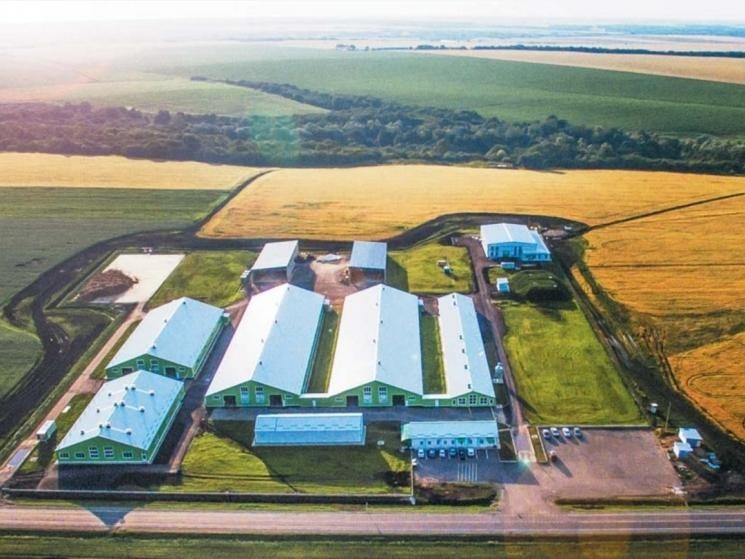 Агрохолдинг «Мирный» запустил производство продукции из козьего молока в Адыгее