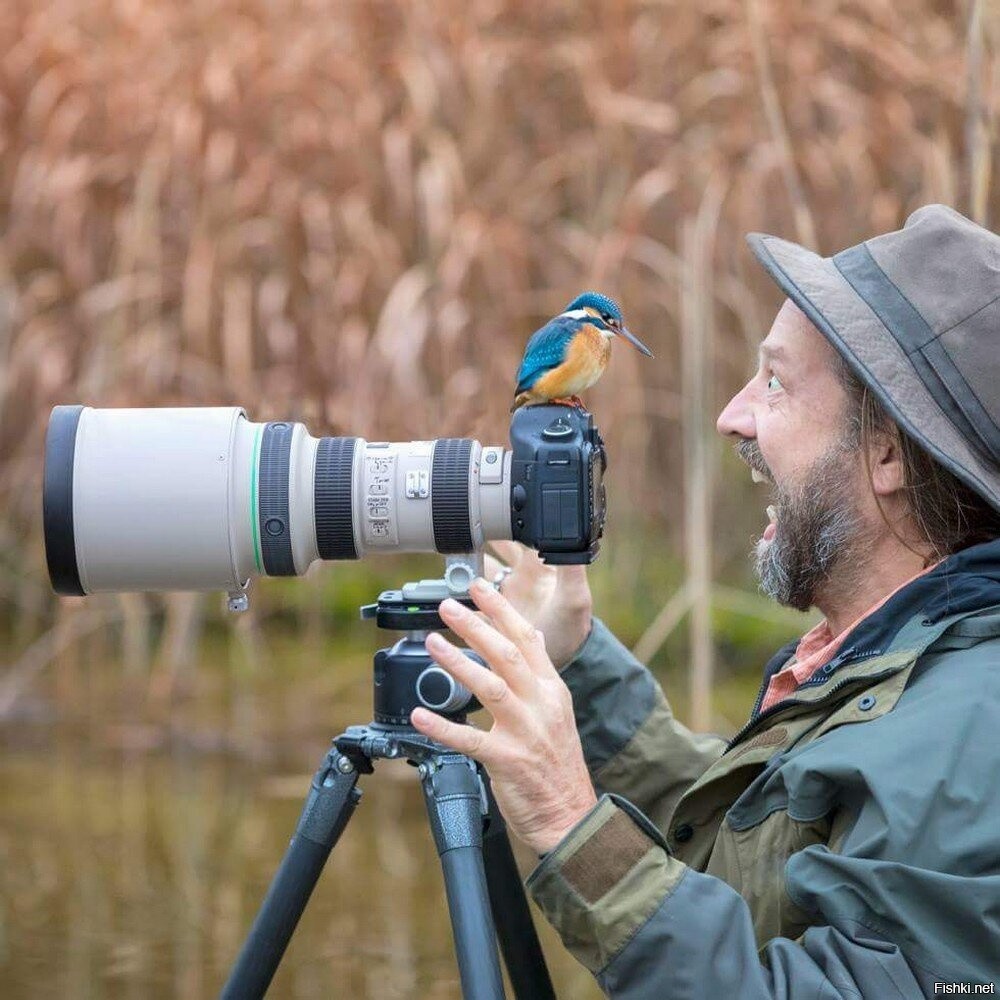 Как фотографировать природу. Фотограф фотографирует природу. Фотографирование птиц. Смешной фотограф. Фотограф на природе.