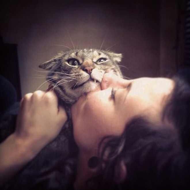 "К черту твои селфи!": 22 фото о том, как коты не любят фоткаться