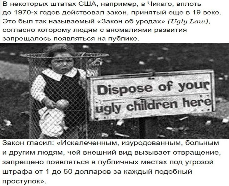 О политике и не только