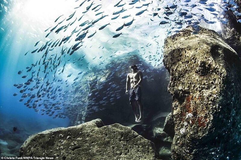 Фридайвинг с косяком рыб. Побережье Гавайских островов. Андре Фахардо