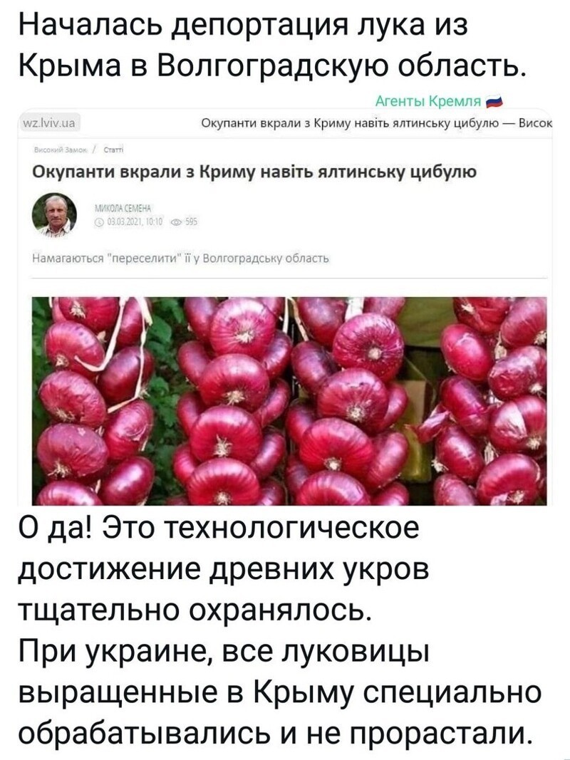 Сначала борсч, теперь цибуля!!! Будьте вы прокляты, москали! 