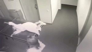 Просто гифки, всякие и разные