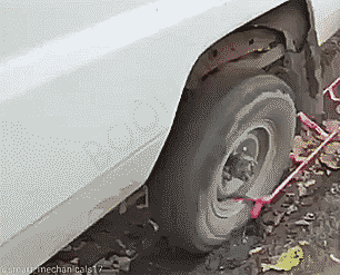 Гифки Гифки