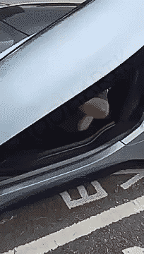 Гифки Гифки