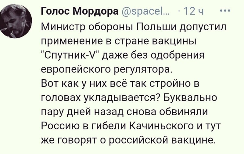 О политике и не только