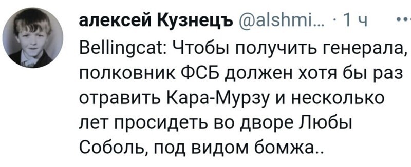О политике и не только
