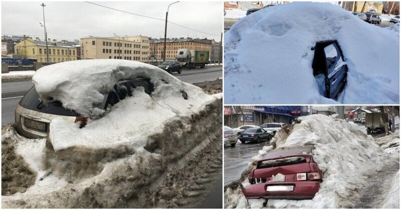 Русская весна: появляются первые городские подснежники
