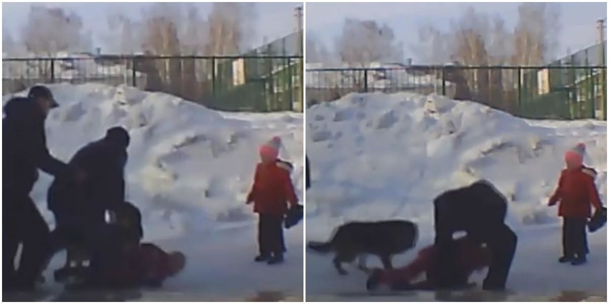 В Новосибирске двое мужчин спасли девочку из пасти бродячей собаки