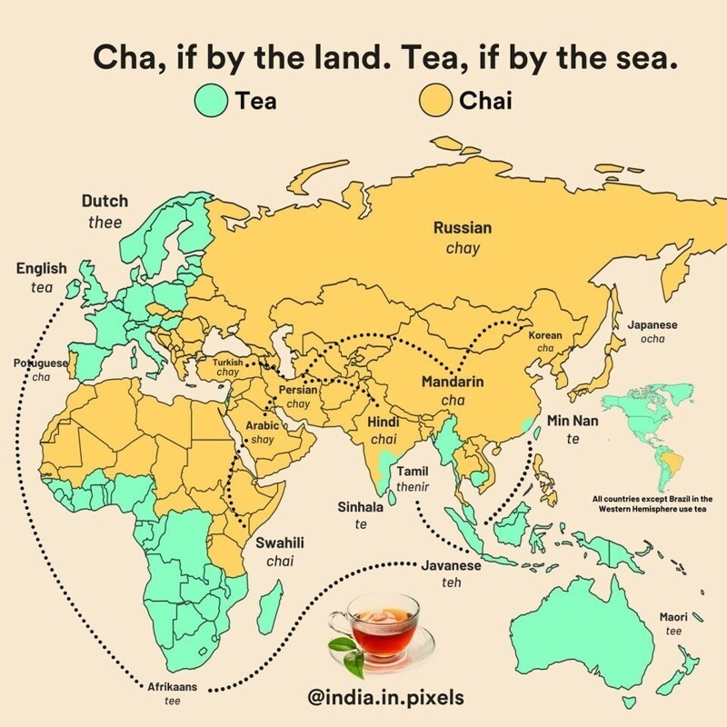 16. В странах, куда чай из Китая поставлялся по суше, его называют вариацией произношения «Chai». В странах, куда чай поставлялся морем — «Tea»