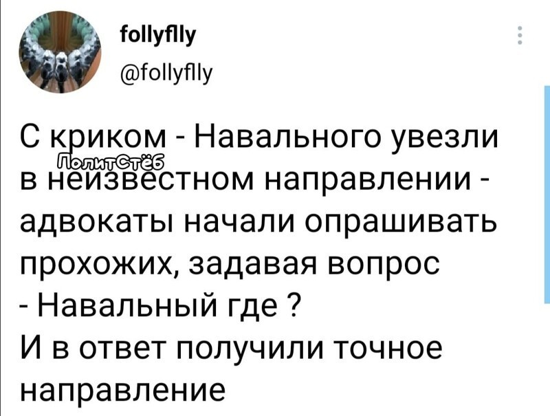 О политике и не только