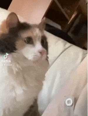 С добрым утром! С добрым утром!