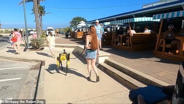 Видео: женщина выгуливает пса-робота