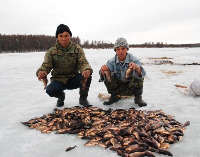 Охота и рыбалка на севере видео. Куйуур в Якутии. Охотники Якутии промысловики. Якутская рыбалка куйуур. Охотничий промысел в Якутии.