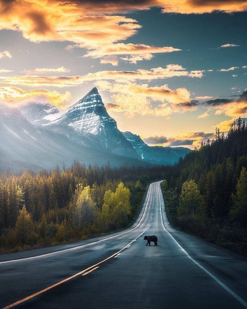 Дорога в гору