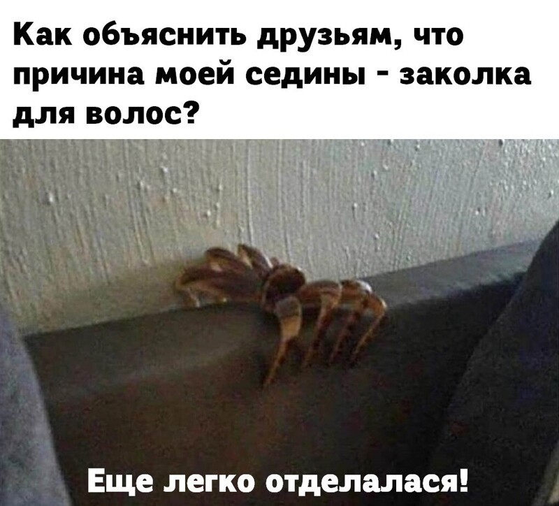 Веселые  картинки