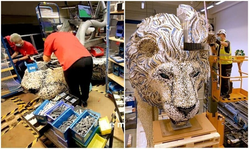 Невероятное таймлапс-видео: сборка льва из 685 тысяч деталей лего