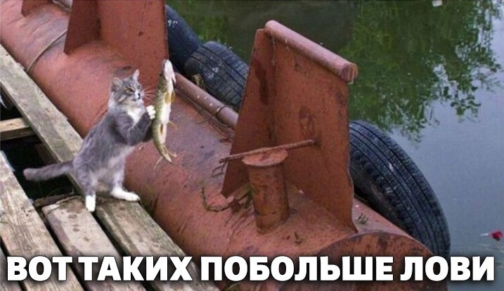 Смешные и познавательные картинки