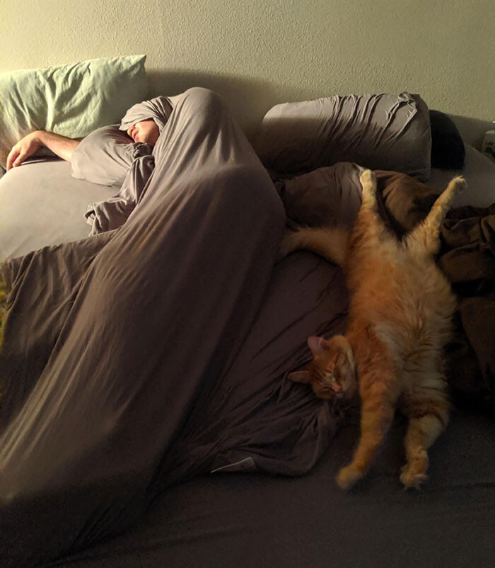 "У всех такие милые фото со спящими хозяевами и кошками. А вот мои придурки"