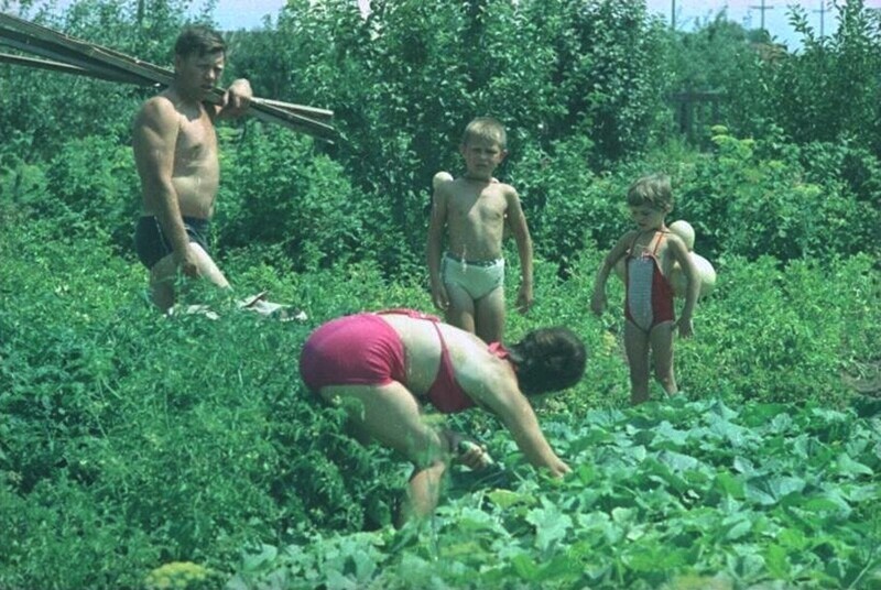 Семья на садово-дачном участке. Всеволод Тарасевич, 1966 год, Волгоградская обл., г. Волжский