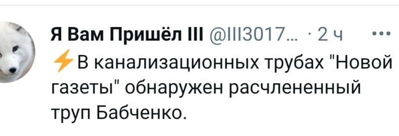 О политике и не только