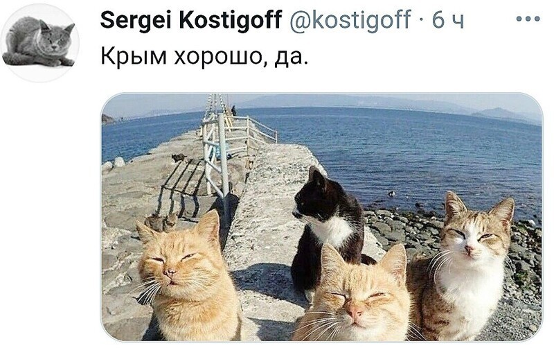 О политике и не только
