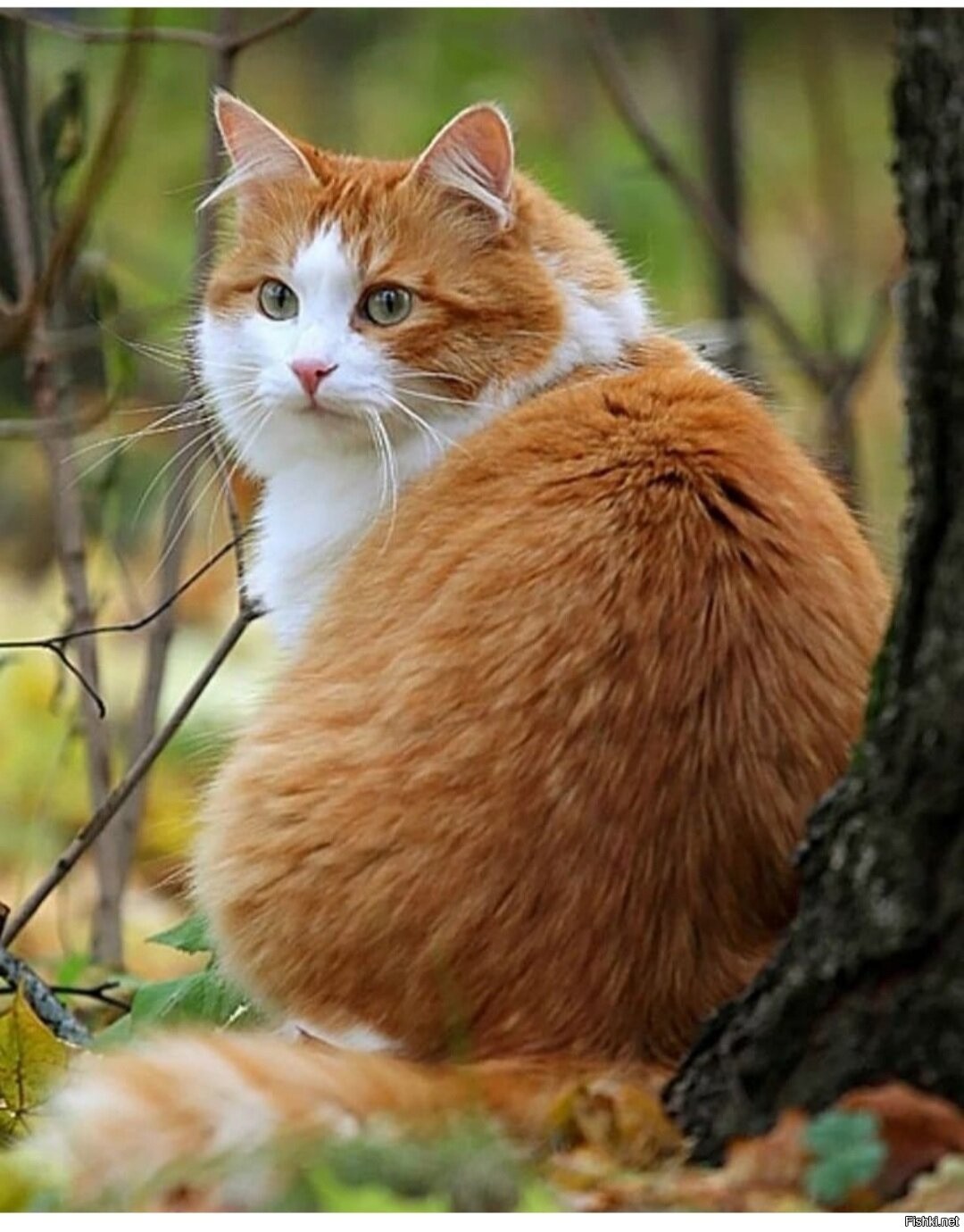 https://cdn.fishki.net/upload/post/2021/03/21/3670197/16e35dc91a0e58e3cde07e33aa0650e1.jpg