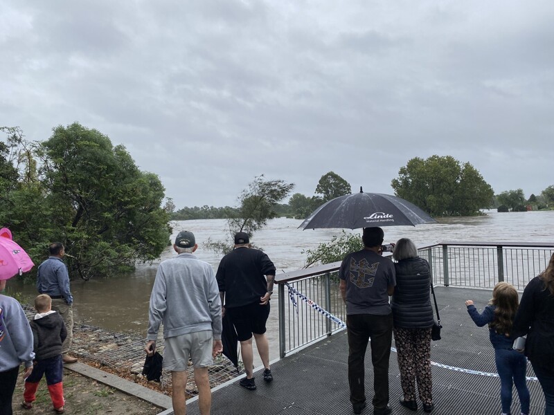 Наводнение в Австралии: зоны бедствия и тысячи пауков