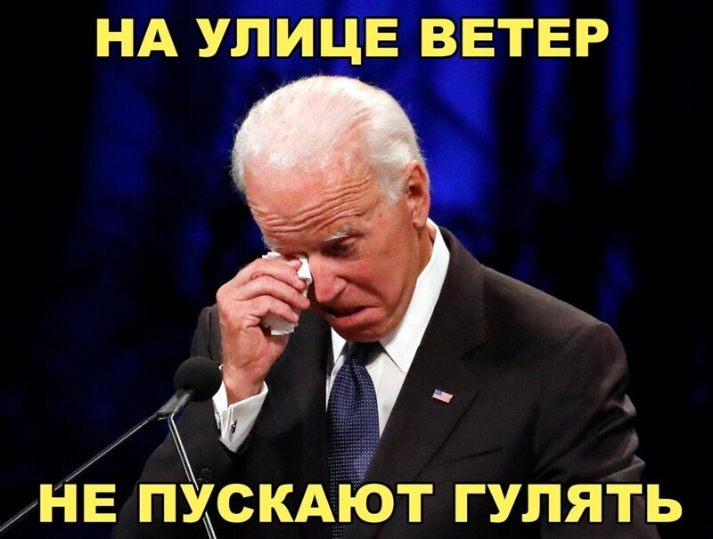 О политике и не только