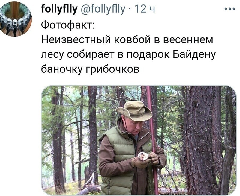 О политике и не только