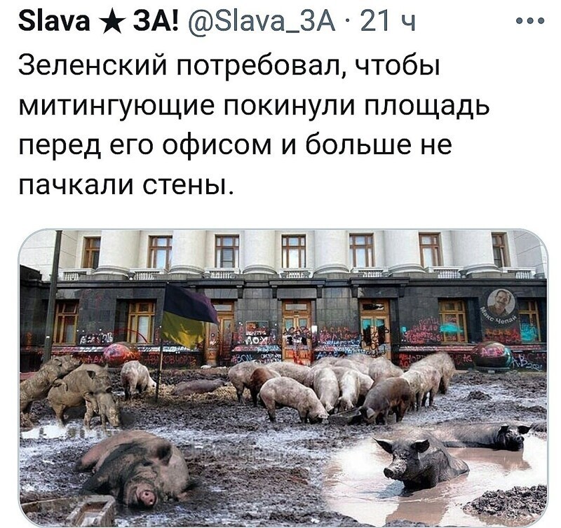 О политике и не только