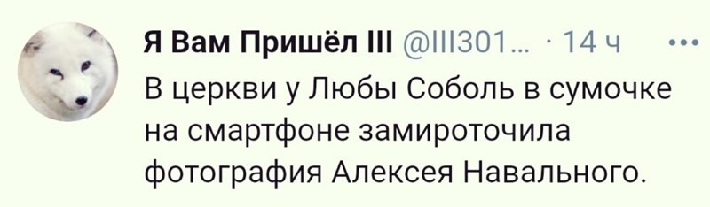 О политике и не только