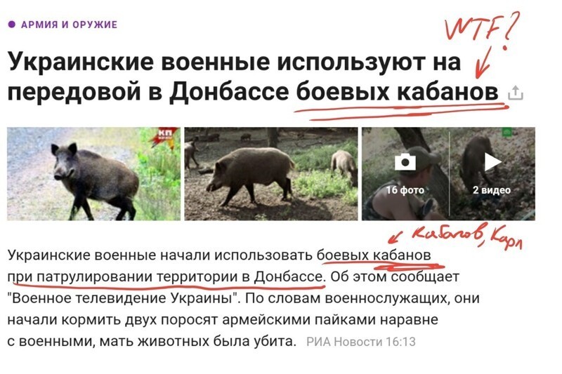О политике и не только